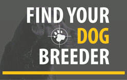 Find Your Breeder