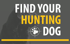 Find Your Hunting Dog