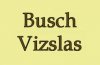 Busch Vizslas logo