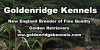 Goldenridge Kennels logo