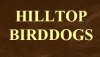Hilltop Birddogs logo