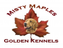 Misty Maples Golden Kennels logo