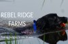 Rebel Ridge Farms logo