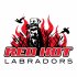 Red Hot Labradors LLC logo