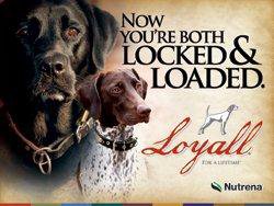 Loyall Pet Food