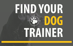 Find Your Trainer