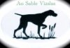 Au Sable Vizslas logo