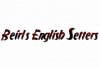 Beirl's English Setters logo