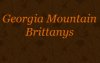 Georgia Mountain Brittanys logo
