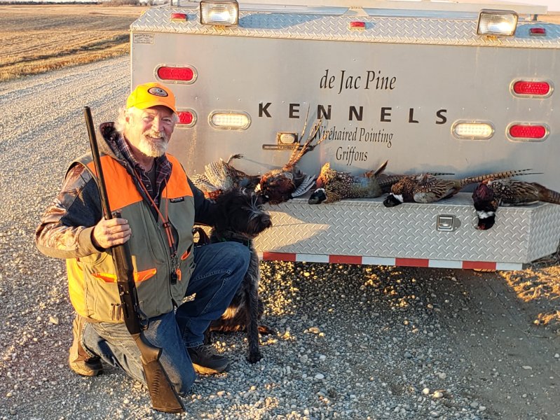 DAVE AND VIPER SOUTH DAKOTA PHEASNATS