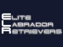 Elite Labrador Retrievers logo