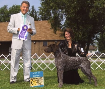 Dual Champion Fieldmaster's Looking For Trouble