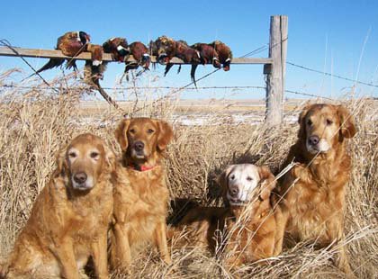 South Dakota Public land hunt