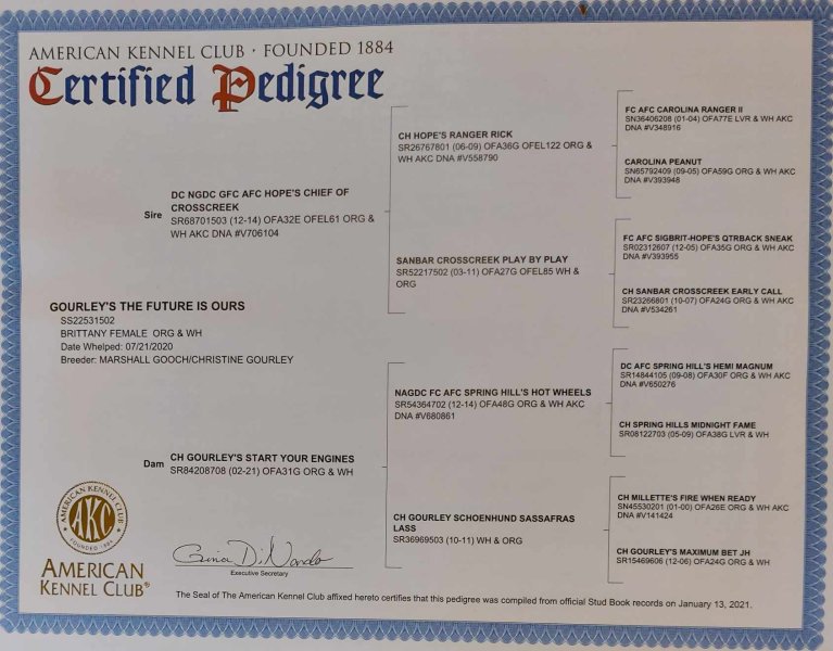 Kaylee pedigree