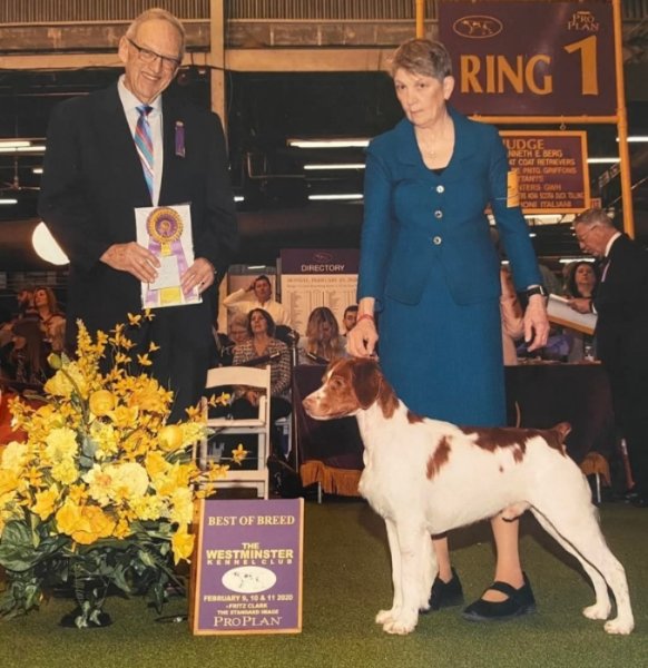 GCHG Dogwood Hollow Flashstorm, MH aka Blitz
Sire of upcomingblitter