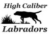 High Caliber Labradors logo
