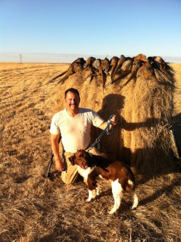 Our Sire Mr. Miles after a hunt in South Dakota 2012