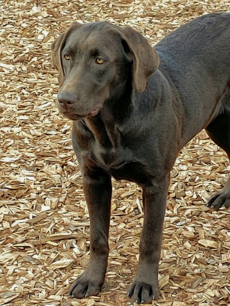 The Mom, Molly