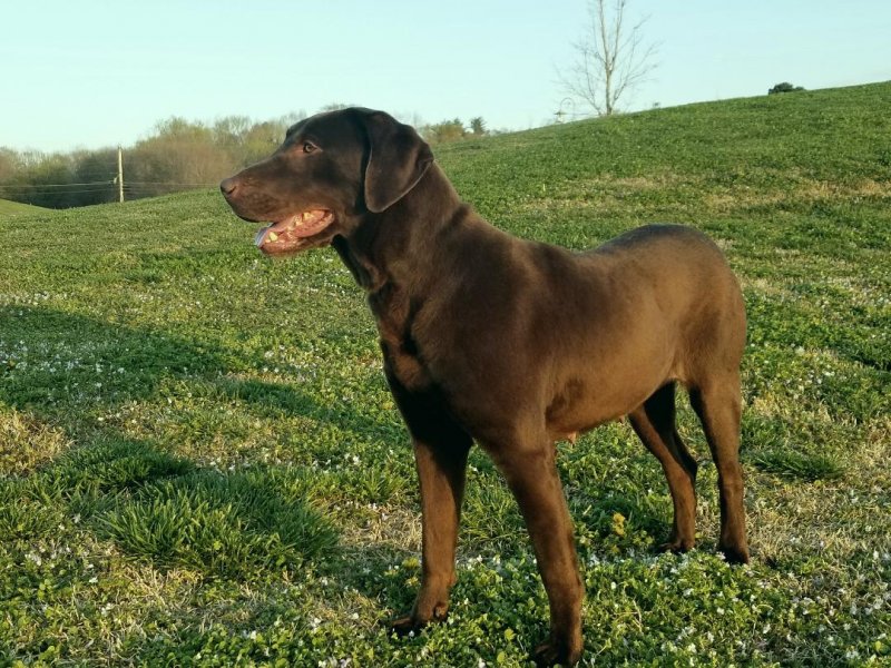 Abby