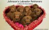 Johnson's Labrador Retrievers logo