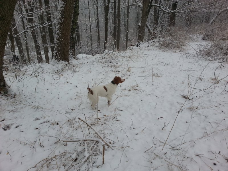 Mt View's Snow White
(Mya)