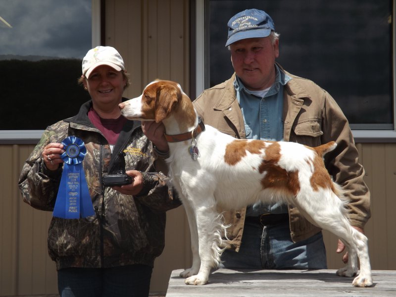 Dual/AFC Mt. View Night At The Copa JH
(Finishing her Amateur Field Champion)