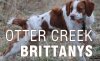 Otter Creek Brittanys logo