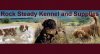 Rock Steady Kennel And Supplies logo