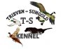 Trieven Sungold Kennels logo