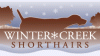 Winter Creek Shorthairs logo