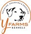 Y-Farms Kennels logo