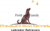 Pheasant Row Kennels logo