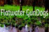 Flatwater GunDogs logo