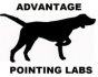 Advantage Pointing Labs logo