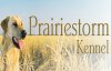 Prairiestorm Kennels logo