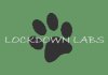 Lockdown Labs logo