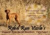 Rebel Run Vizslas logo