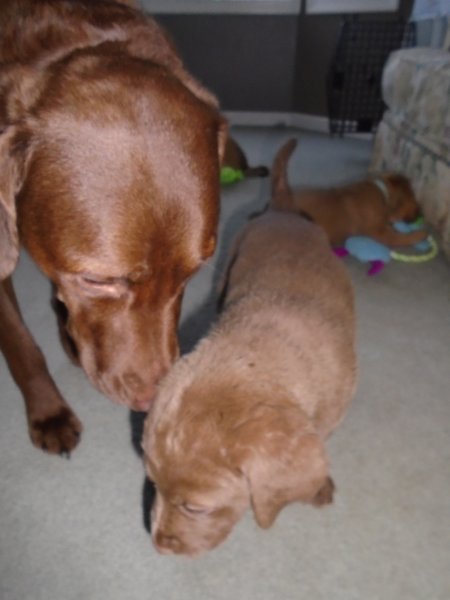 Orange girl with Mom