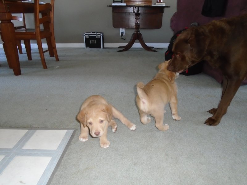 Play time with Green boy and Red boy