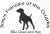 Braque Francais of the Ozarks  logo
