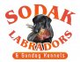 SoDak Labradors & Gundog Kennels logo