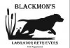 Blackmons Retrievers logo
