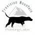 Provision Mountain Pointing Labs logo