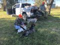 Hunt fall of 2021, dam Finley in orange collar, sire Atticus in blue collar