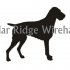 Cedar Ridge Wirehairs  logo