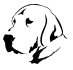 Boyntons Labradors logo