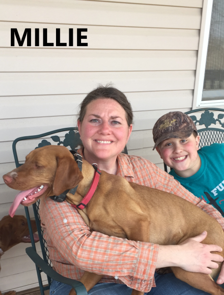 Millie on mom's lap