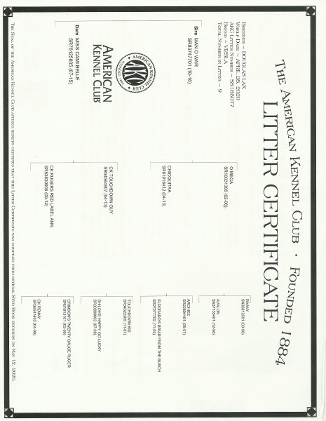 Millie's pedigree