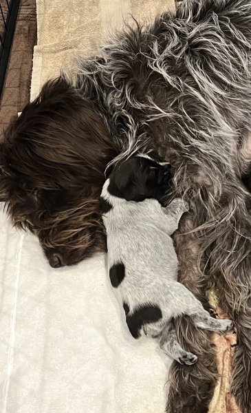 Hangin' with mom