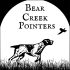 Bear Creek Pointers  logo